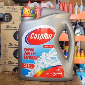 کاسپین سوپر چهارفصل